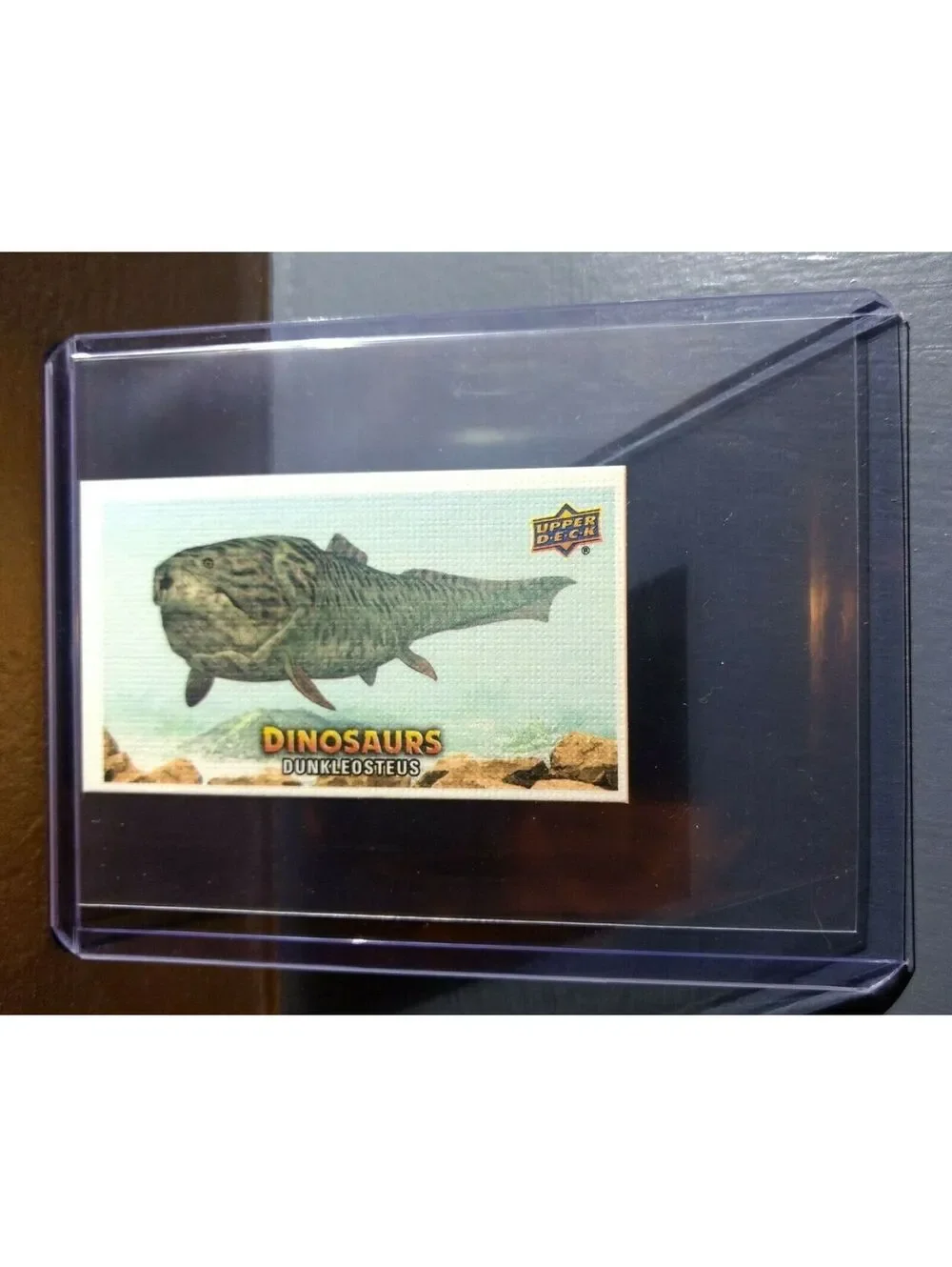 2015 Upper Deck Dinosaurs Canvas Mini Dunkleosteus #113 Trading Card